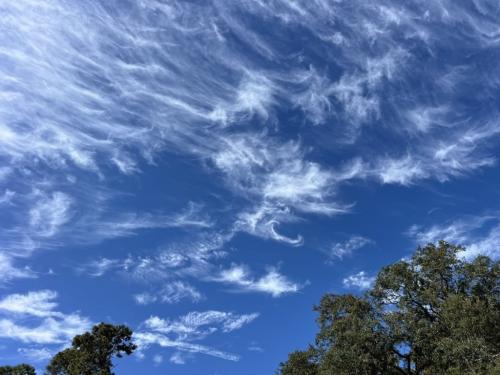 448A6625-5364-4624-B5D1-0CB6347EB98C 1 102 o