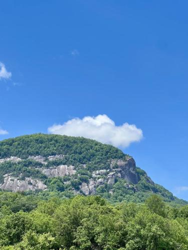 Lure2024-steve- 201 a-20