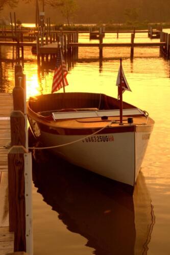 dsc 0049 (1) (1) (1) (1) (1)