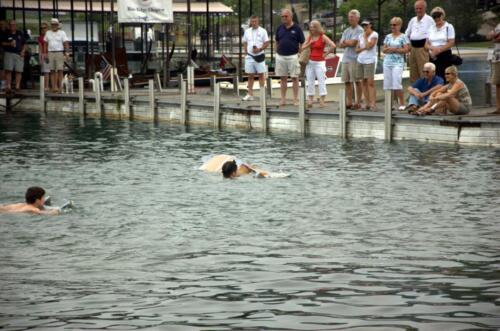 dsc 0077 (1) (1) (1) (1)