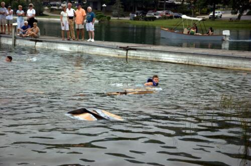 dsc 0090 (1) (1) (1) (1)