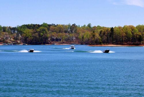 dsc 0097 (1) (1) (1)