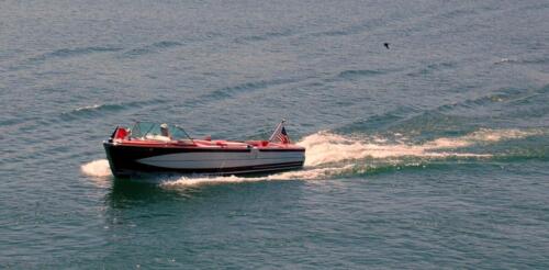 dsc 0113 (1) (1) (1)