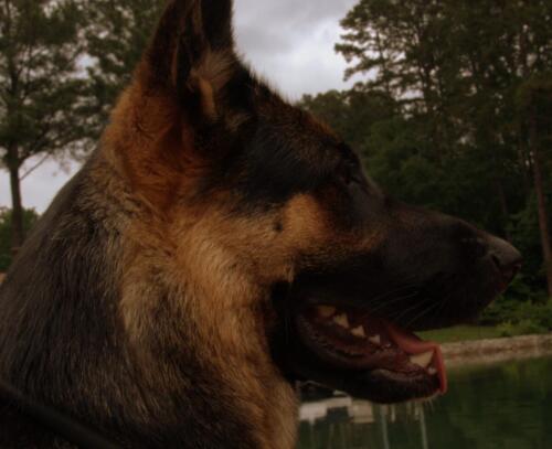 dsc 0125 (1) (1) (1)