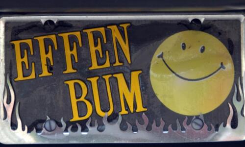 dsc 0151 (1) (1) (1)