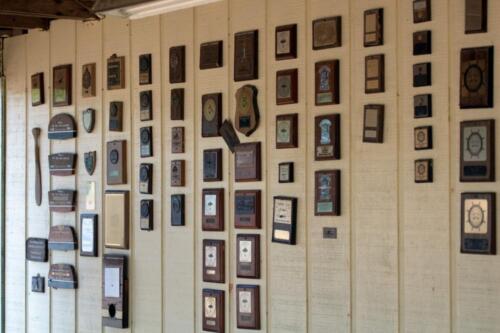 dsc 0160 (1) (1) (1)