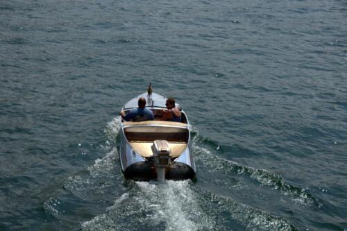 dsc 0168 (1) (1) (1) (1)