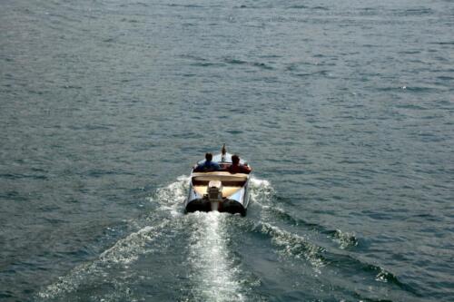 dsc 0173 (1) (1) (1)